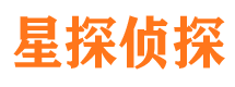 东兰侦探